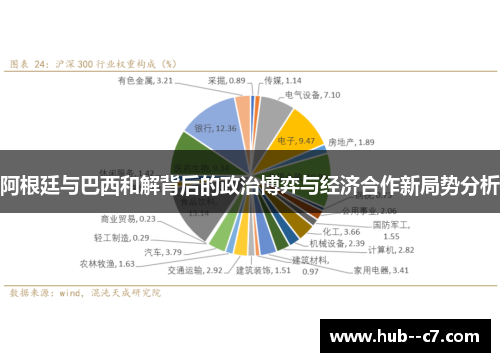 阿根廷与巴西和解背后的政治博弈与经济合作新局势分析 阿根廷与巴西和解背后的政治博弈与经济合作新局势分析