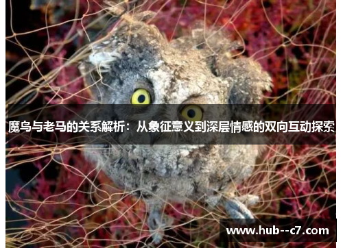 魔鸟与老马的关系解析：从象征意义到深层情感的双向互动探索