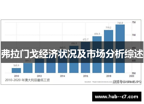 弗拉门戈经济状况及市场分析综述