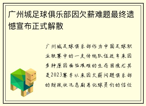 广州城足球俱乐部因欠薪难题最终遗憾宣布正式解散
